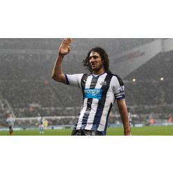 Vuelve Fabricio Coloccini