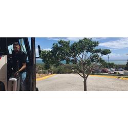 ¡El Ciclón ya está en Ponce!