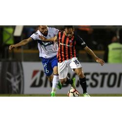 Una parda agria y que complica