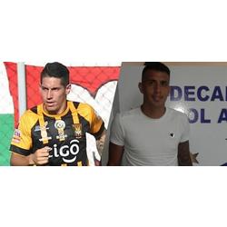 Vuelven y se van