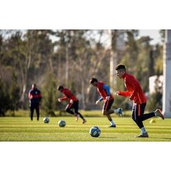 Nuevos hisopados al plantel y cuerpo técnico