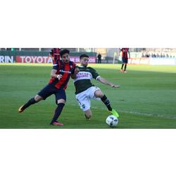 Cerutti es baja para Formosa